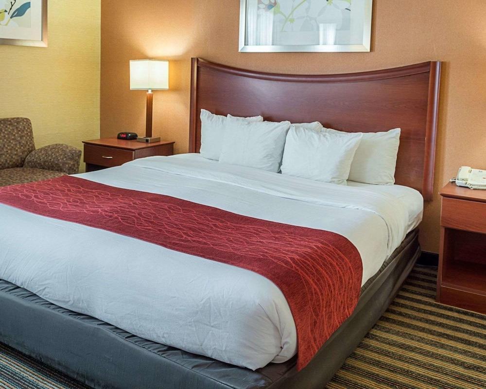 Comfort Inn Petersburg Near Fort Gregg-Adams Luaran gambar