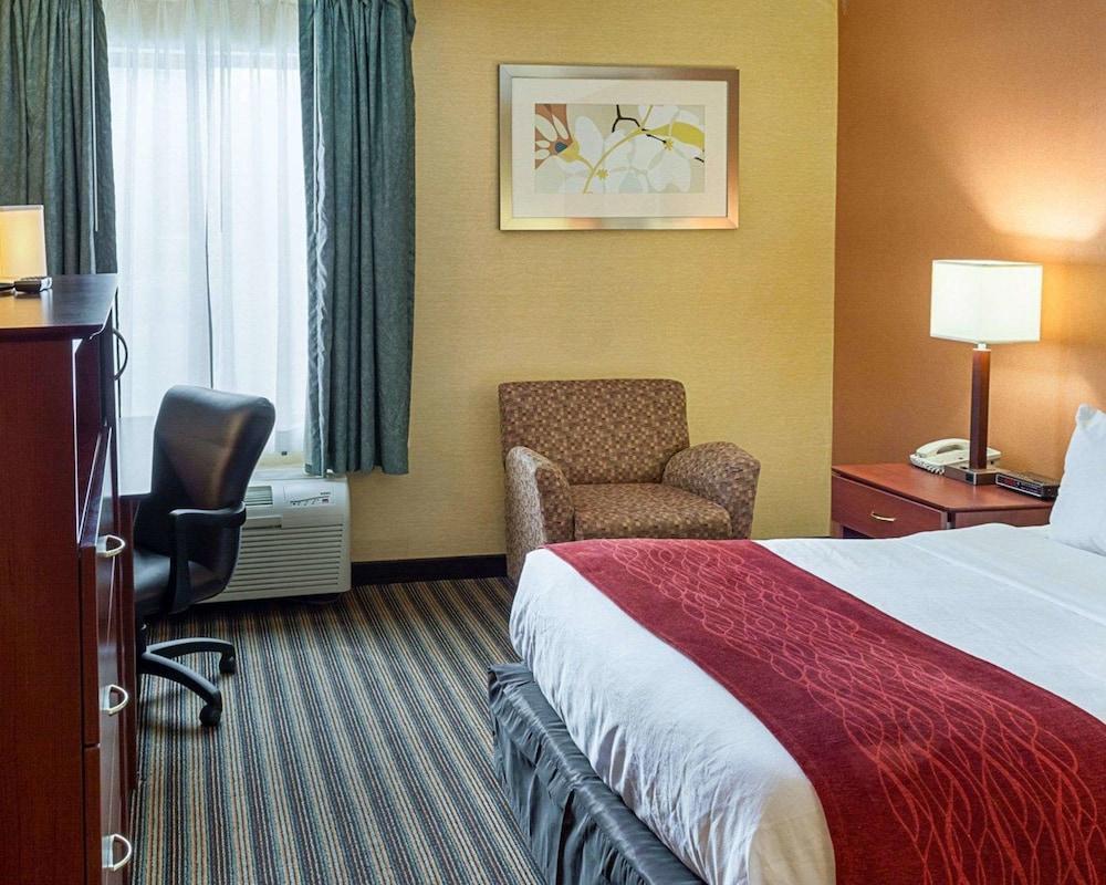Comfort Inn Petersburg Near Fort Gregg-Adams Luaran gambar