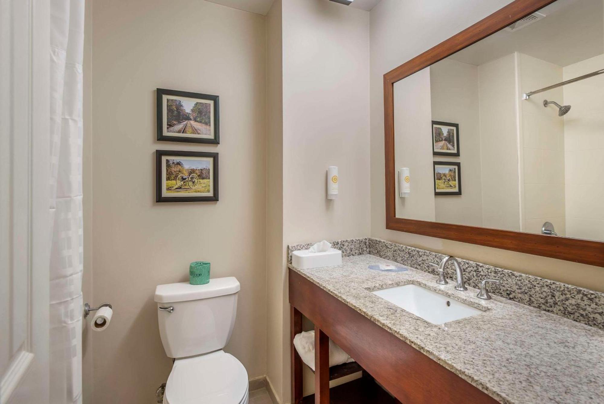 Comfort Inn Petersburg Near Fort Gregg-Adams Luaran gambar