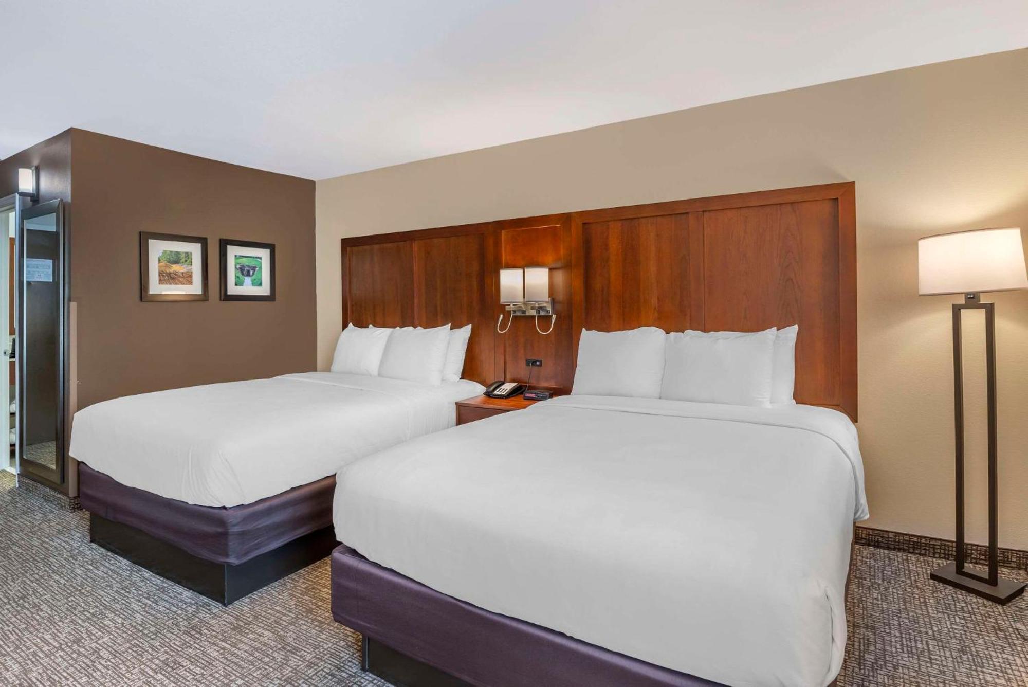 Comfort Inn Petersburg Near Fort Gregg-Adams Luaran gambar