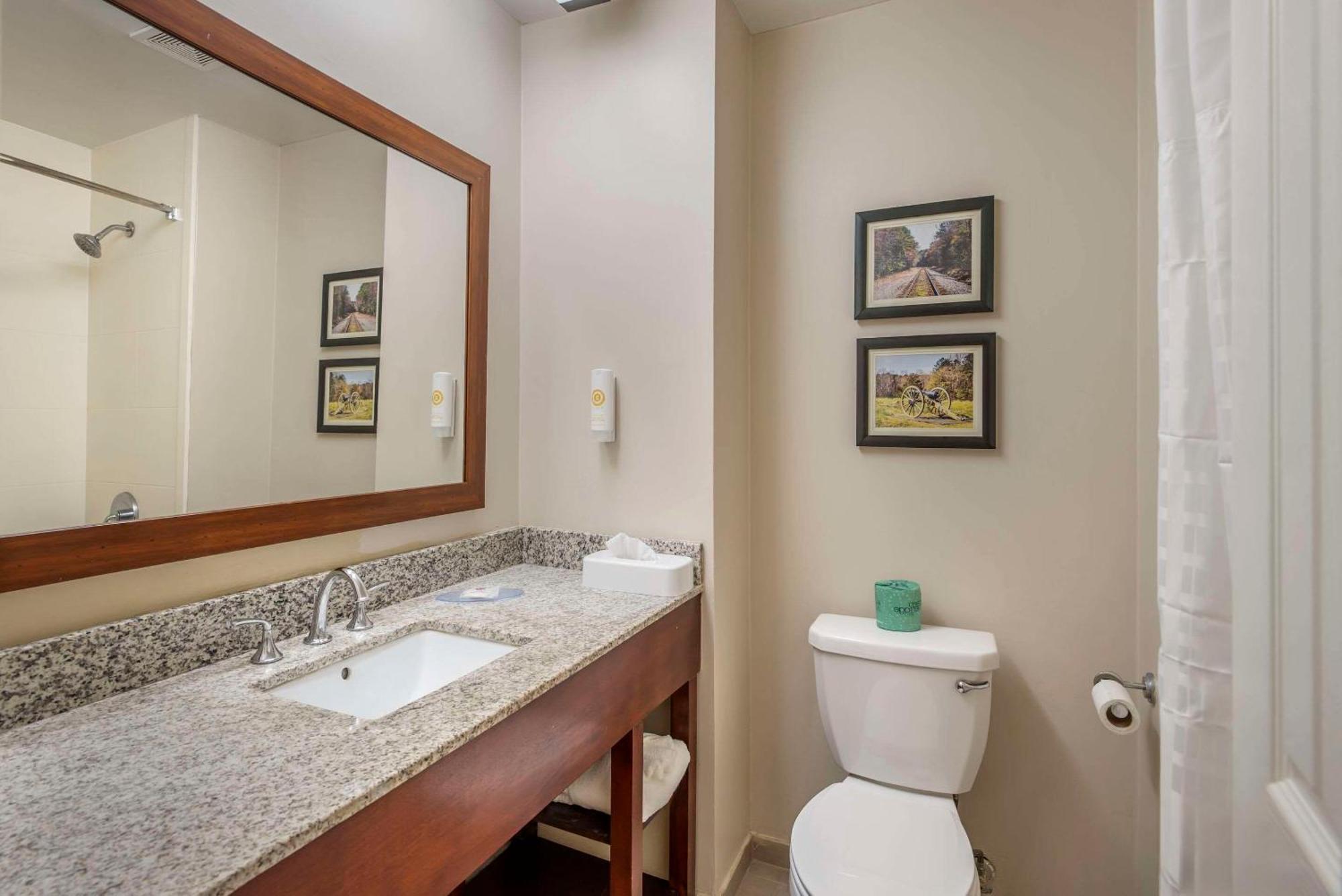 Comfort Inn Petersburg Near Fort Gregg-Adams Luaran gambar