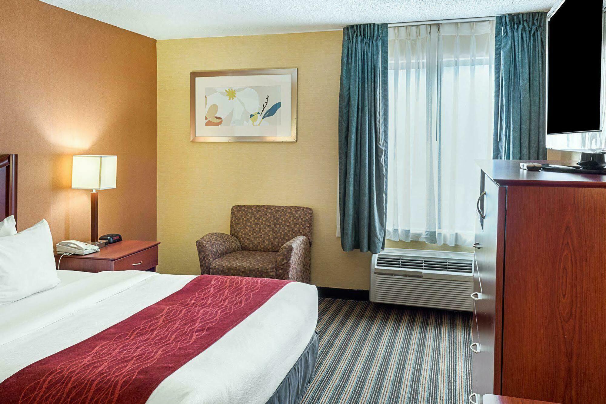 Comfort Inn Petersburg Near Fort Gregg-Adams Luaran gambar