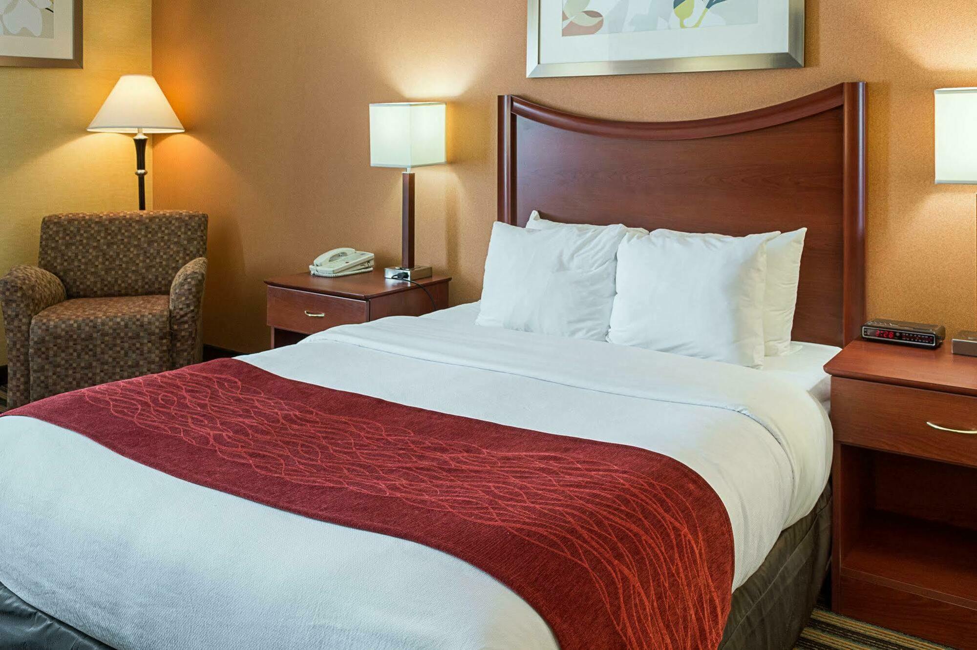 Comfort Inn Petersburg Near Fort Gregg-Adams Luaran gambar